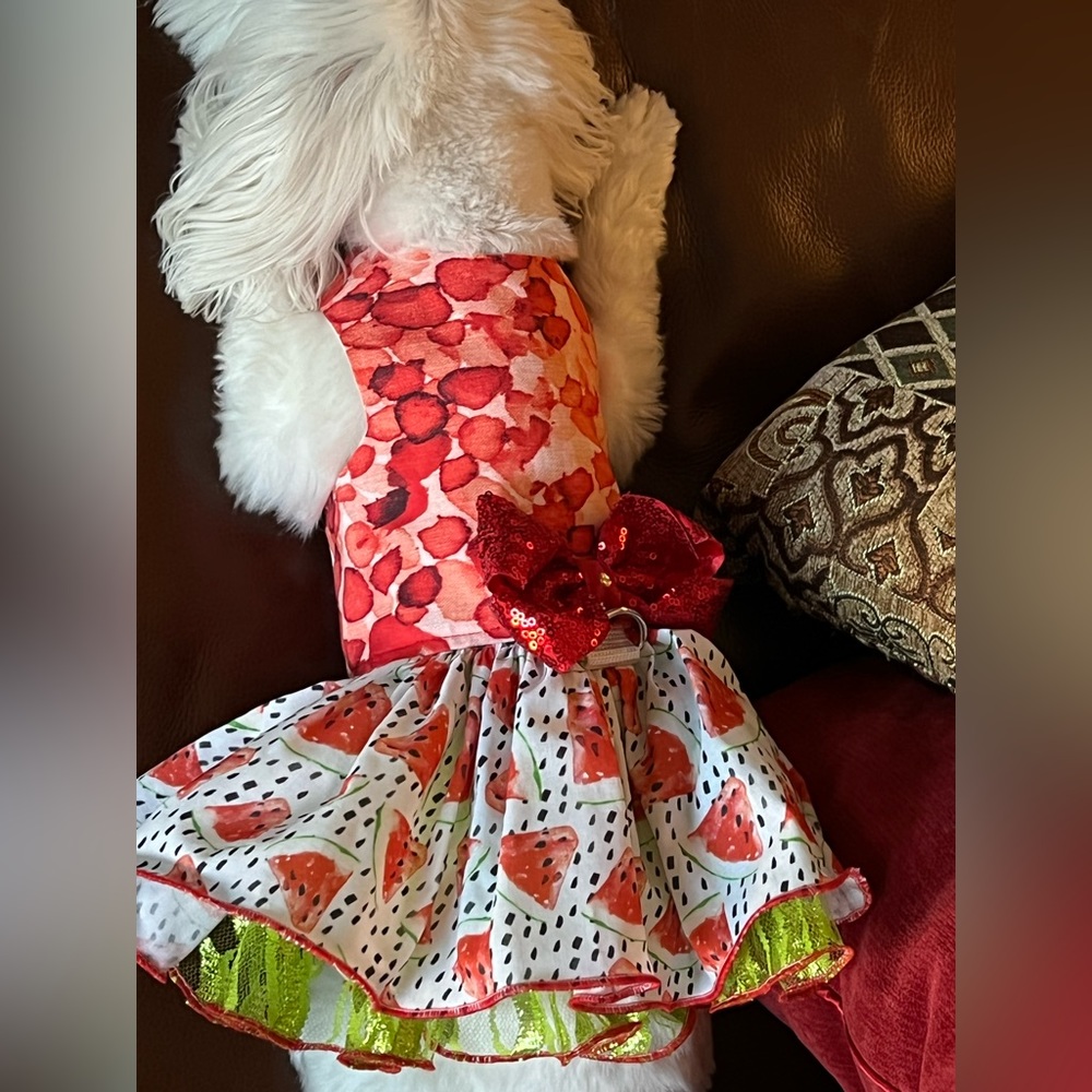 Handmade dress brand new $30 fits to dogs up to 10pounds size xs